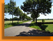 Het wijde land van Drenthe - klik hier en lees meer over De Wide